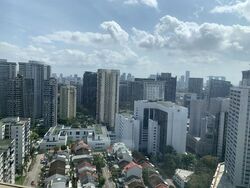 Scotts Square (D9), Apartment #480360931